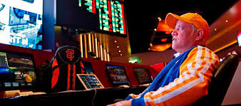 Онлайн казино Casino Vostok